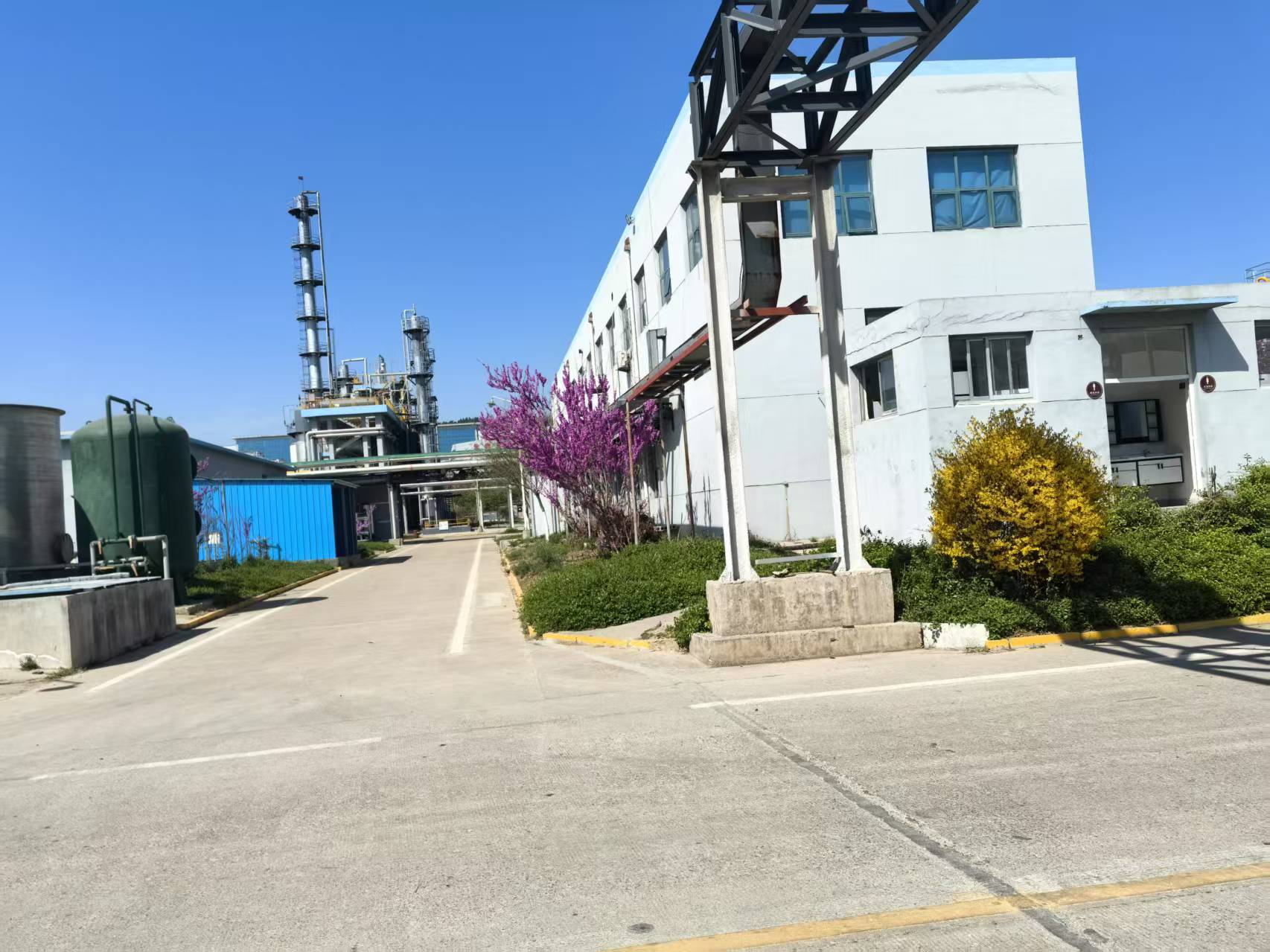 公司廠區春天美景